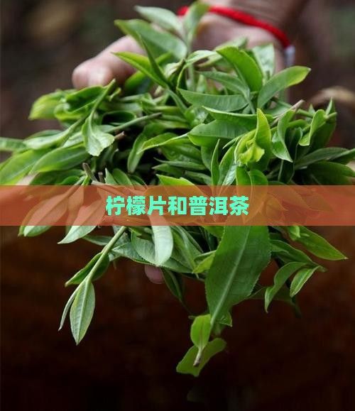 檸檬片和普洱茶