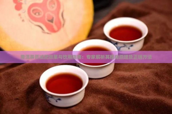 普洱茶膏減肥效果與飲用指南：專家解析其瘦身原理及正確方法