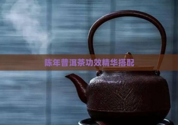 陳年普洱茶功效精華搭配