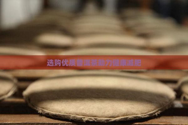 選購(gòu)優(yōu)質(zhì)普洱茶助力健康減肥