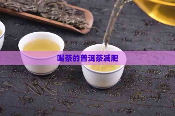 喝茶的普洱茶减肥