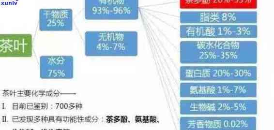 加速身體代謝：探究哪些茶葉助您提升代謝速率