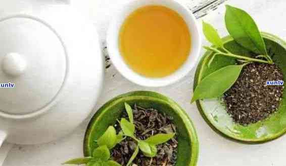 加速身體代謝：探究哪些茶葉助您提升代謝速率