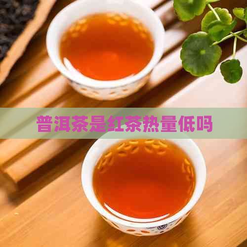 普洱茶是紅茶熱量低嗎