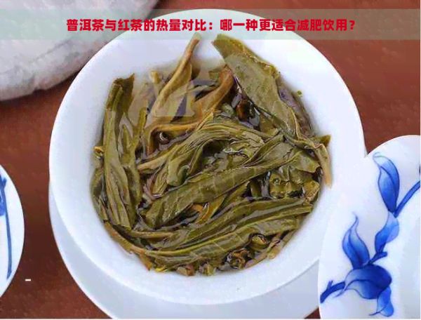 普洱茶與紅茶的熱量對(duì)比：哪一種更適合減肥飲用？