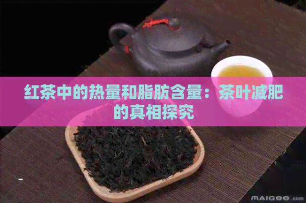 红茶中的热量和脂肪含量：茶叶减肥的真相探究