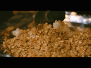 格兰诺拉燕麦的做法步骤 第5步