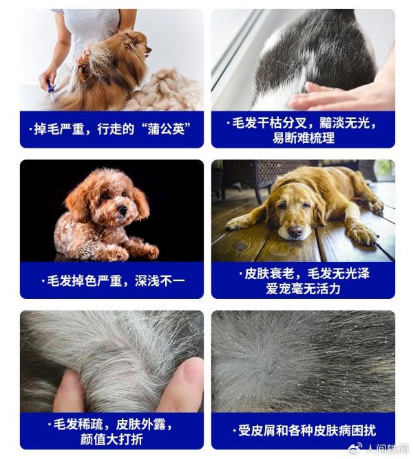 微信圖片_20231222170040.jpg