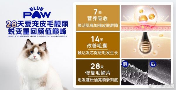 公眾號-改尺寸4.jpg
