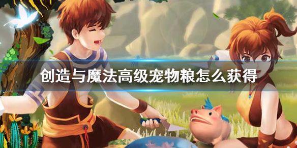 《创造与魔法》高级宠物粮怎么获得 高级宠物粮获得方法介绍