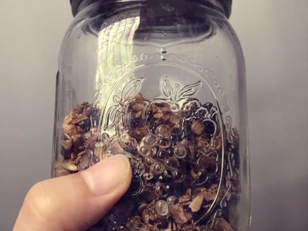 純奶手撕吐司的做法 步驟1