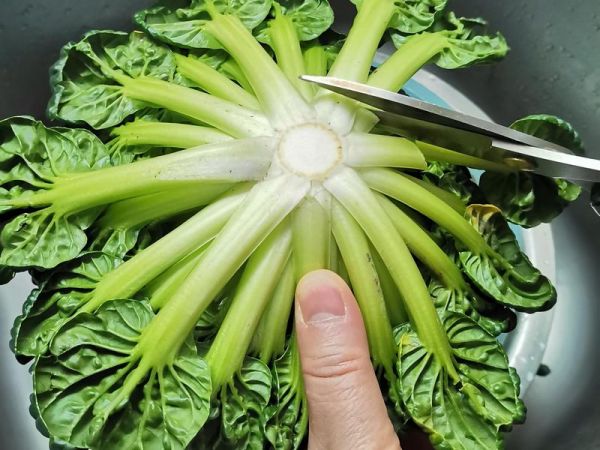 純奶手撕吐司的做法 步驟1
