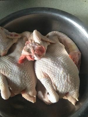 黄精炖鸡的做法 步骤2