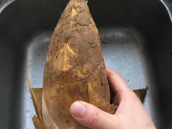 純奶手撕吐司的做法 步驟1