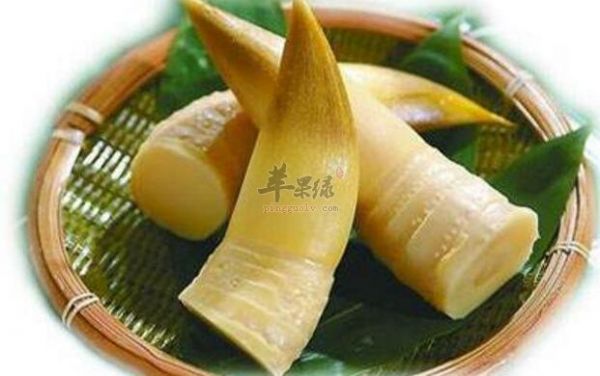 冬筍不能和什么一起吃