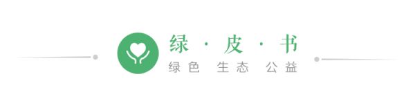 綠皮書.png