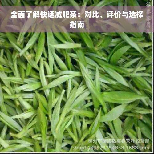 全面了解快速減肥茶：對比、評價與選擇指南