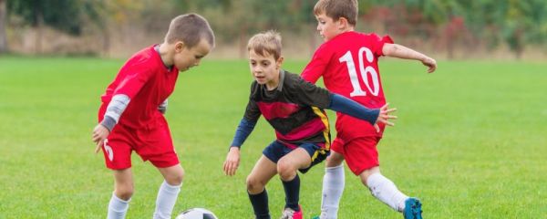 番石榴降糖茶有效果吗 番石榴降糖茶可以降低血糖吗 番石榴降糖茶效果怎么样