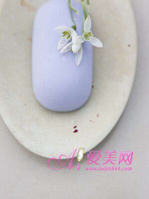 8種純中藥制劑 讓你健康減肥