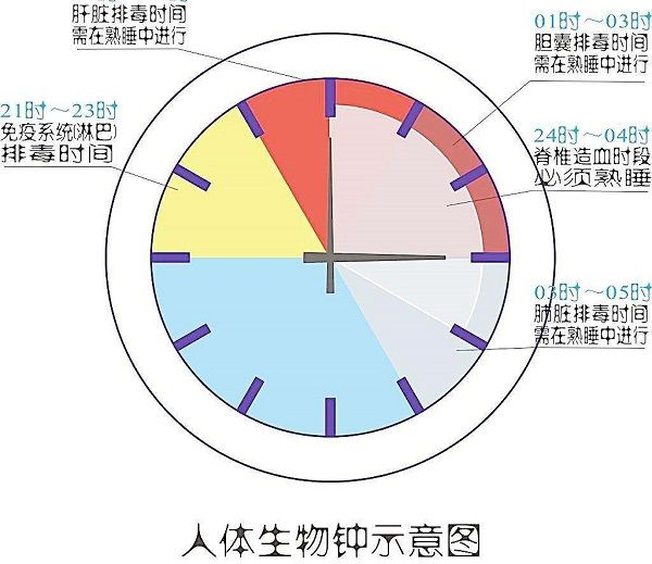 用重置生物鐘與克服時差來改善睡眠
