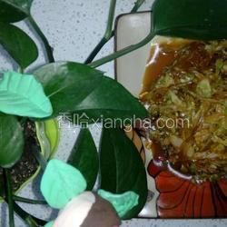 卷心菜炒粉的做法[圖]