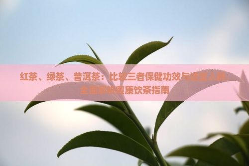 紅茶、綠茶、普洱茶：比較三者保健功效與適宜人群，全面解析健康飲茶指南