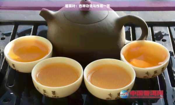 福茶叶:各种功效与作用一览