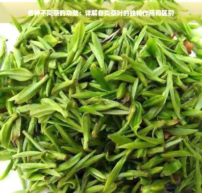 各种不同茶的功效:详解各类茶叶的独特作用和区别