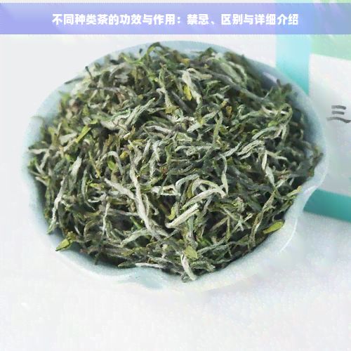 不同种类茶的功效与作用:禁忌、区别与详细介绍