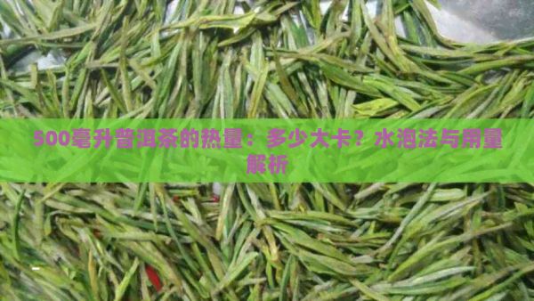 500毫升普洱茶的熱量：多少大卡？水泡法與用量解析