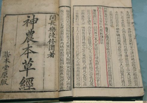 [轉(zhuǎn)載]為什么說“茶是萬病之藥”