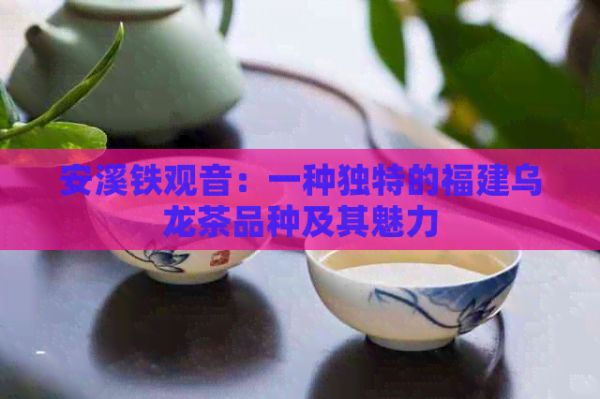 安溪鐵觀音：一種獨特的福建烏龍茶品種及其魅力