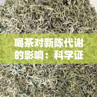 喝茶對新陳代謝的影響:科學(xué)證據(jù)與建議,了解茶葉如何幫助減肥和改善健