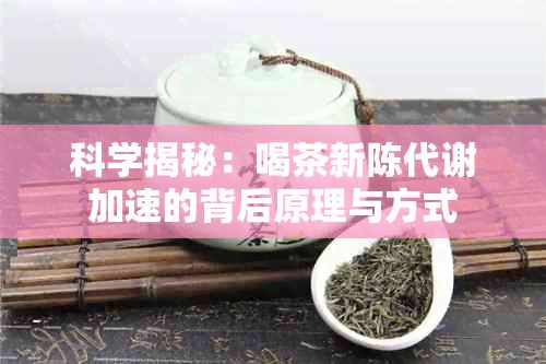 科學(xué)揭秘:喝茶新陳代謝加速的背后原理與方式