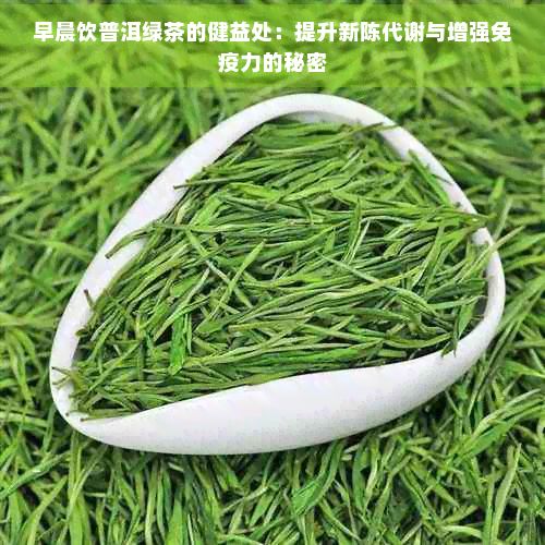 早晨飲普洱綠茶的健益處：提升新陳代謝與增強(qiáng)免疫力的秘密