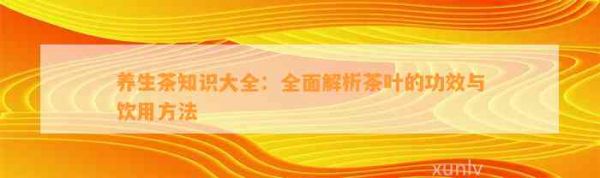 養(yǎng)生茶知識大全：全面解析茶葉的功效與飲用 