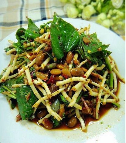 你說說魚腥草怎么吃