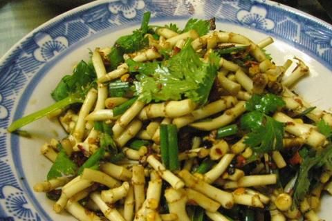 你說說魚腥草怎么吃