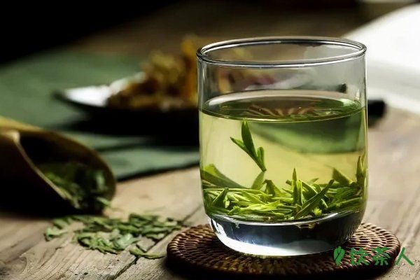 喝綠茶的注意事項，不宜過濃/不喝隔夜茶/空腹不喝綠茶