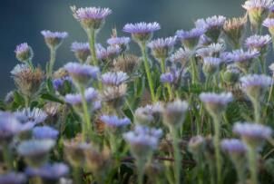 前列康舉辦環(huán)青海湖公益騎行，男性健康接力盛大開啟