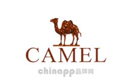 Camel駱駝Camel駱駝，屬于廣東駱駝服飾有限公司，著名戶外運(yùn)動休閑品牌，強(qiáng)調(diào)舒適感與時(shí)尚感的結(jié)合，集研發(fā)設(shè)計(jì)、生產(chǎn)制造、營銷及出口為一體的服飾企業(yè)。
