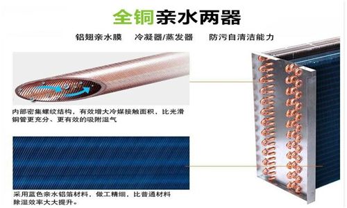 夏季養(yǎng)生：如何祛濕和除濕，家用除濕機(jī)是必備的
