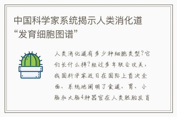 中國科學(xué)家系統(tǒng)揭示人類消化道“發(fā)育細(xì)胞圖譜”