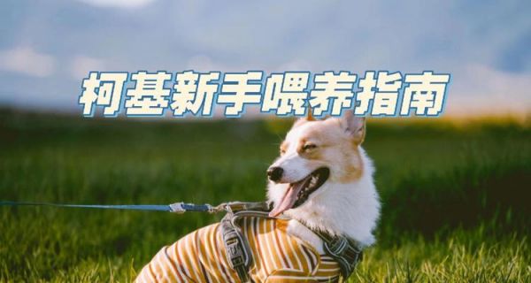 犬類發(fā)育的關鍵階段之第二階段（探究犬類成長期的營養(yǎng)、健康與行為特點）