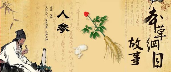《本草綱目》故事：百草之王人參