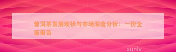 普洱茶發(fā)展現(xiàn)狀與市場(chǎng)深度分析：一份全面報(bào)告