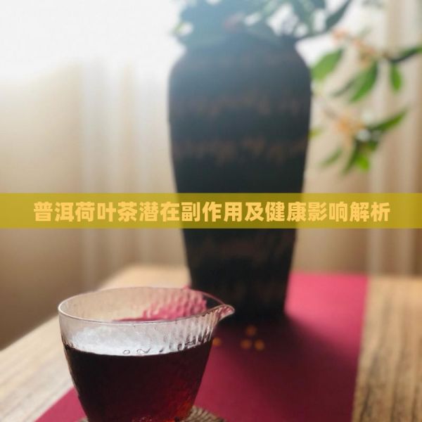 普洱荷叶茶潜在副作用及健康影响解析