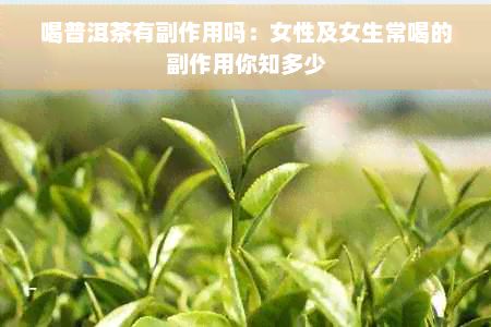喝普洱茶有副作用嗎：女性及女生常喝的副作用你知多少
