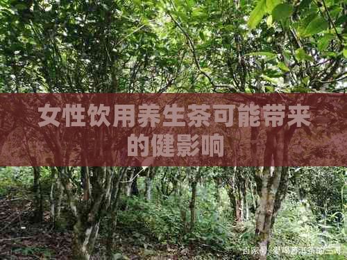 女性饮用养生茶可能带来的健影响