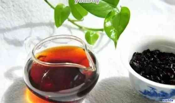 半生半熟普洱茶的 *** 工藝及其可飲用性與功效：如何泡制？